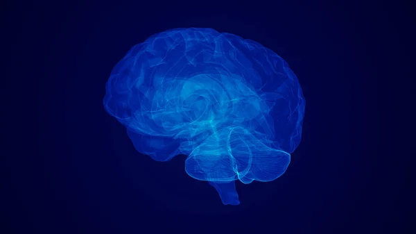 Idea Médica Del Cerebro Humano — Foto de Stock