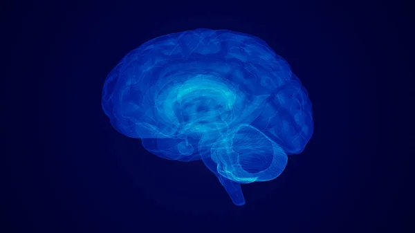 Koncepcja Medyczna Ludzkiego Mózgu — Zdjęcie stockowe