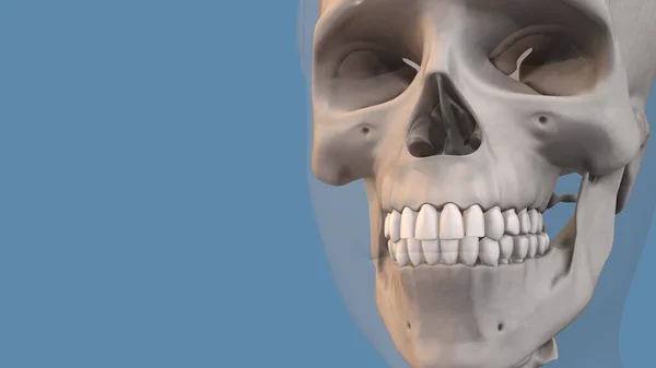 Концепция Стоматологии Ортодонтического Лечения — стоковое фото