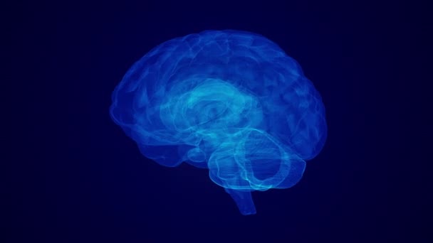 Koncepcja Medyczna Ludzkiego Mózgu — Wideo stockowe