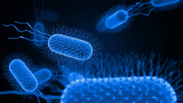 Бактерии Вирус Микроскопом — стоковое фото