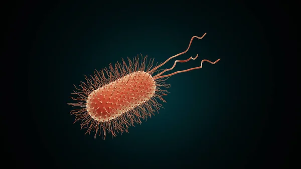 顕微鏡下の細菌又はウイルス — ストック写真