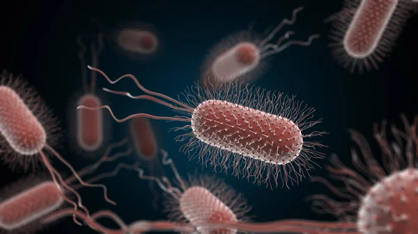 顕微鏡下の細菌又はウイルス — ストック写真