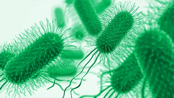 Бактерии Вирус Микроскопом — стоковое фото