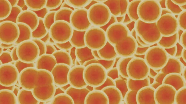 Mikroskop Syn Blodkroppar Eller Bakterier — Stockfoto