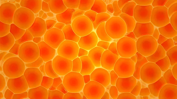 显微镜下的血细胞或细菌 — 图库照片