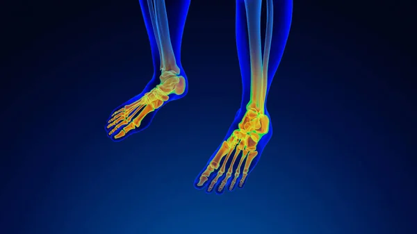 人間の足痛医療の背景 — ストック写真