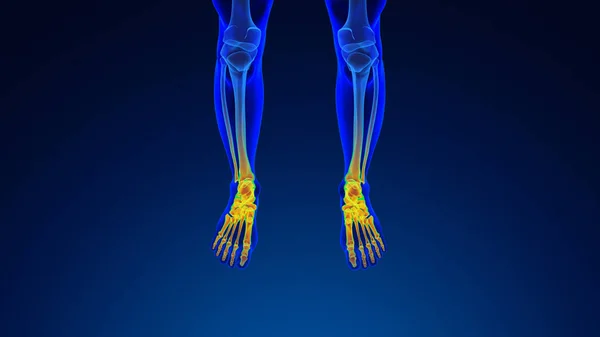 人間の足痛医療の背景 — ストック写真