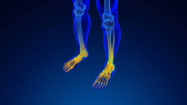 Menschliche Fußschmerzen Medizinischer Hintergrund — Stockfoto