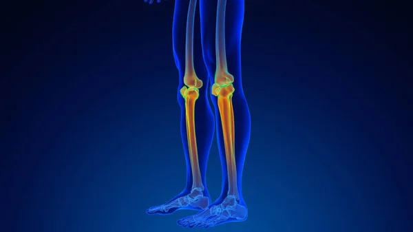 Schmerzen Kniegelenk Medizinischer Hintergrund — Stockfoto