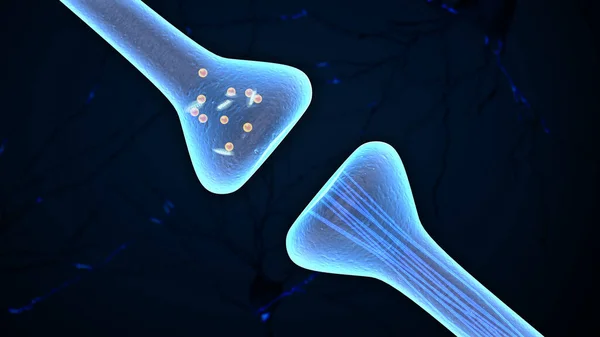 Neuronal Och Synaps Medicinsk Illustration — Stockfoto