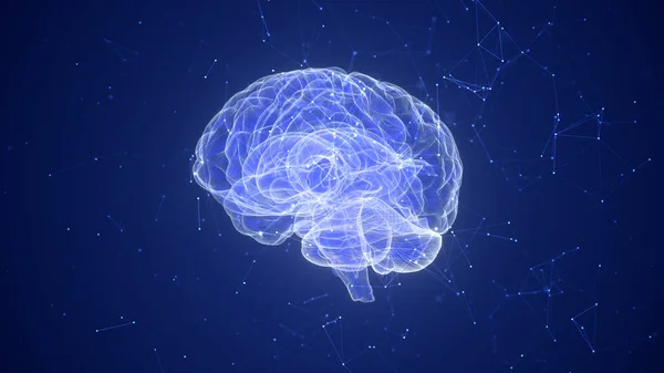 Tecnología Cerebral Plexo — Foto de Stock