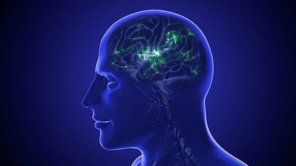 Red Nerviosa Humana Inteligencia Artificial Digital Ilustración — Foto de Stock