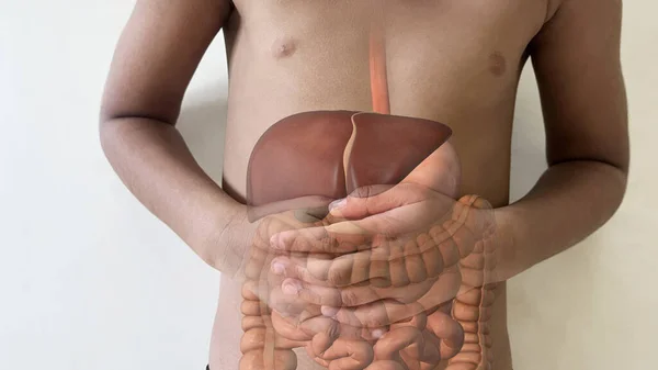 Pojęcie Przewodu Pokarmowego Choroby Żołądka — Zdjęcie stockowe
