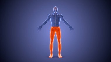 Parapleji felci sağlık konsepti