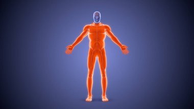 Felçli felç durumu Tıbbi konsept