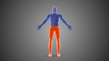 Çeşitli felç durumlarının tıbbi konsepti