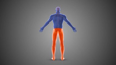 Çeşitli felç durumlarının tıbbi konsepti