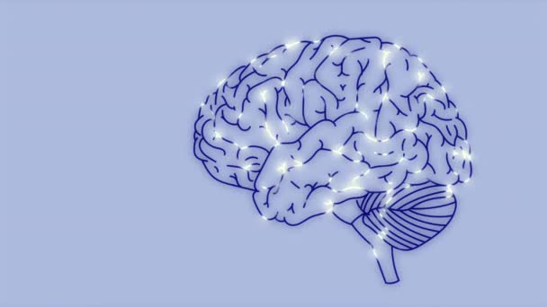 Sieć Aktywności Neuronowej Mózgu — Wideo stockowe