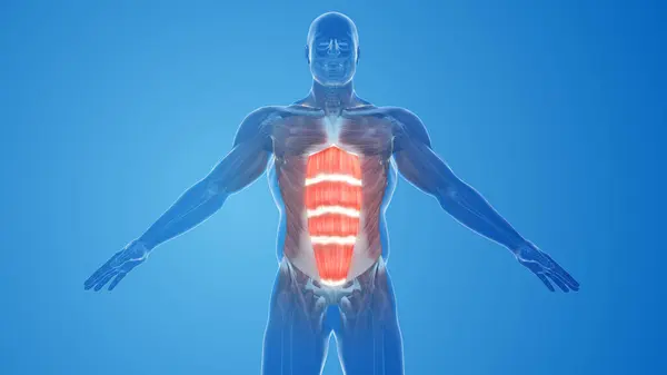 Abdominal Muscles pain and injury