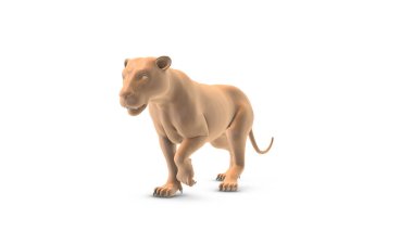 Beyaz arka planda yürüyen canlı bir aslan.