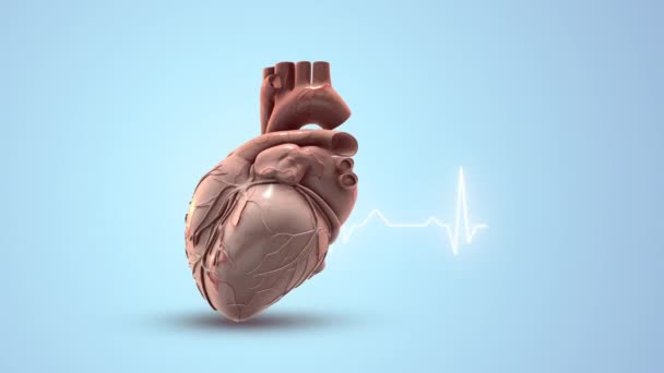 Corazón Humano Con Trazas Latidos Cardíacos — Vídeo de stock