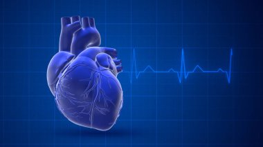 Nabız izi olan bir insan kalbi.