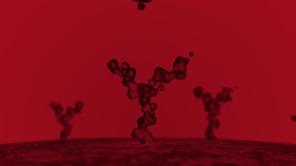 Receptores Células Humanas Estão Ligados Por Anticorpos — Vídeo de Stock