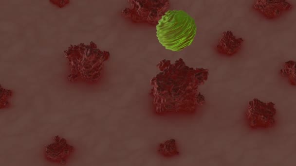 Antikörper Töten Krebszellen Medizinische Animation — Stockvideo