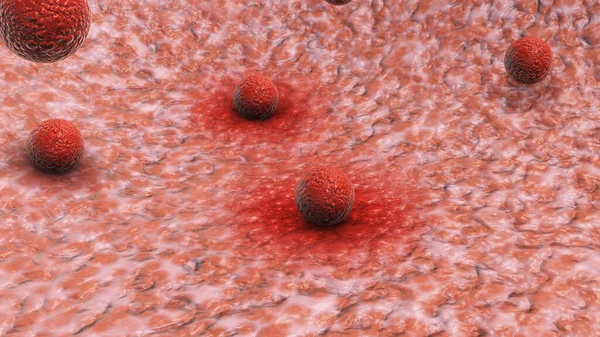 Virus cell attachment to human tissue