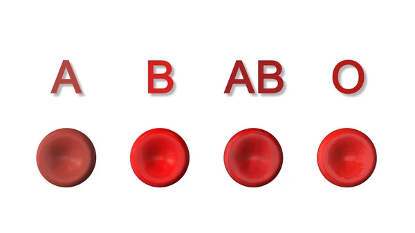 Abo System Human Blood Groups — Stock Photo, Image
