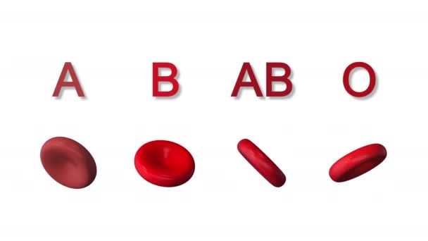 Abo Systeem Menselijke Bloedgroepen — Stockvideo