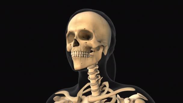 強制的な骨の痛みの医学的なアニメーション — ストック動画