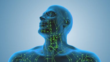 Lenfoma kanseri lenf sisteminin hücrelerinde başlar.