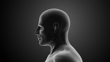 Boyun ya da boyun yaralanmaları.