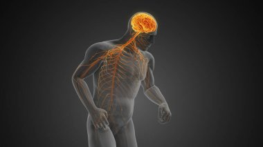 Motor fonksiyon bozukluğu ya da Parkinson hastalığı olan nörodejeneratif bozukluk.