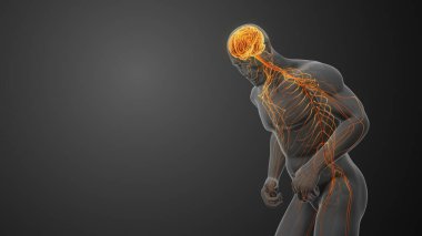 Merkezi Sinir Sistemi Motor Hattı veya Parkinson Hastalığı