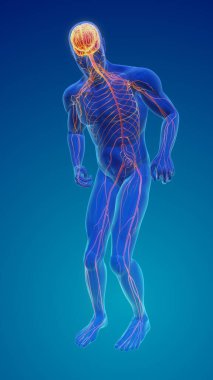 Motor semptomlu sinir sistemi bozulması ya da Parkinson hastalığı