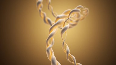 DNA Dizisinin Çift Heliks Yapısı