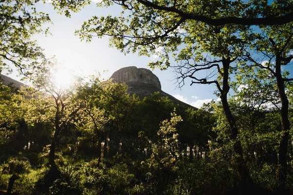 stock image Spring landscape at sunset of the Ungino peak in the Gorobel mountain range, near from maroo, in Alava, Basque Country. Surrounded by trees, flowers and green.