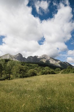Mampodre dağ yığınının kayalık tepeleri ve yeşil çayırların dikey manzarası. Leon 'da, yazın. Kopyalama alanı ile