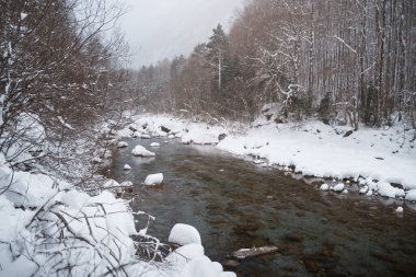 Buzlu Nehir Karlı Ordesa Vadisi 'nden akıyor, Pireneler