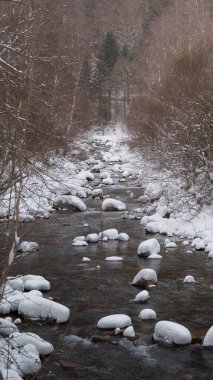 Karlı Nehir Ordesa Ulusal Parkı, Pireneler Kış Akışı