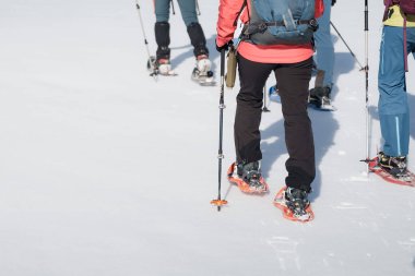 Renkli Dişliler Karda Yolculuk, Picos de Europa