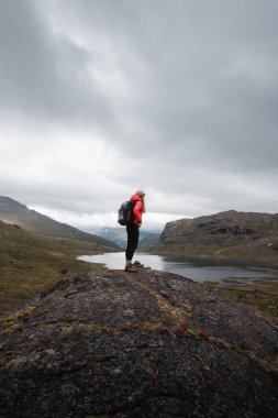 Norveç Vadisi 'ne bakan Dağ Zirvesi Yürüyüşçüsü