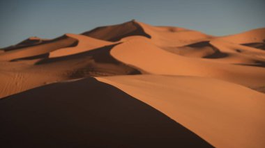 Sıcak güneş ışığı Merzouga, Fas yakınlarındaki Sahara çölündeki erg chebbi kumullarının güzel kıvrımlarını aydınlatıyor.