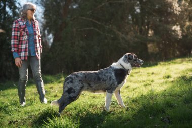 Kadın çiftçi, köpeğiyle birlikte güneşli bir arazide yürüyüş yapıyor. Çiftlik hayatını ve uluslararası işçi gününü kutluyor.