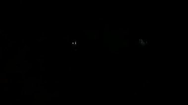Video arka plan, yeni yıl, kutlama, parti ve festival için tek bir roket havai fişeği, gökyüzünde güzel, soyut altın parıltısı.