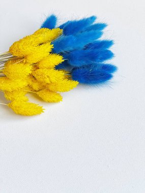 Ukrayna, Ukrayna 'nın renkleri, Ukrayna bayrağı, arka plan, kart, Ukrayna' nın sembolü 