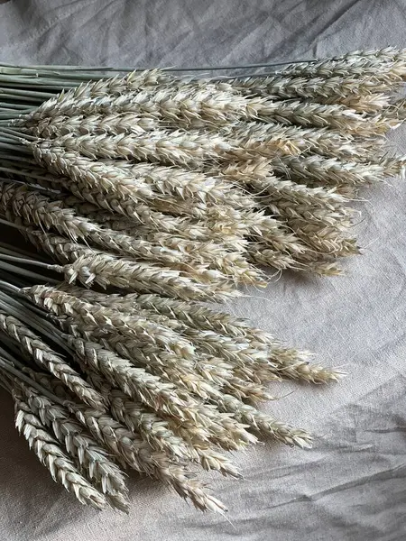 Pamuk kaplı buğday kulakları, bir demet buğday, buğday, masada buğday, kırsal buğday, buğday demetleri, üst görüş